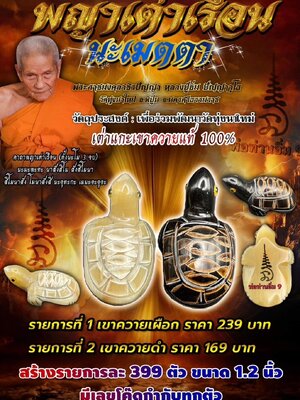 พญาเต่าเรือน นะเมตตา หลวงปู่อิ่ม วัดทุ่งนาใหม่ นครศรีธรรมราช