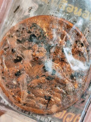 หลวงพ่อประสูติ วัดถ้ำพระพุทธโกสีย์ ในเตา เหรียญเสือนอนกิน พญาเสือเฒ่ายกศิษย์ เหนือดวง ตักศิลา KA 3336