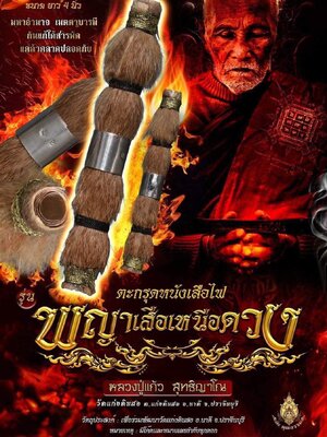 ตะกรุดหนังเสือไฟ พญาเสือเหนือดวง หลวงปู่แก้ว วัดแก่งดินสอ จังหวัดปราจีนบุรี