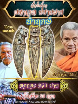 เสือนั่งเขี้ยว มหาเวท ปราบมาร นำฤกษ์ หลวงปู่อิ่ม วัดทุ่งนาใหม่ นครศรีธรรมราช