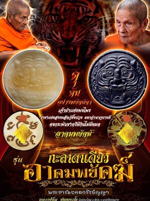 กะลาตาเดียว อาคมพยัคฆ์ หลวงปู่อิ่ม วัดทุ่งนาใหม่ นครศรีธรรมราช