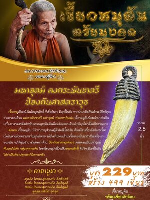 เขี้ยวหมูตัน ตรัยมงคล หลวงปู่อิ่ม ปัญญาวุโธ วัดทุ่งนาใหม่ นครศรีธรรมราช