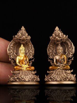 พระวิมุตติสุขเทวานาคราช บุญกฐินปี 66 พระอาจารย์นิคม วัดป่าไตรภูมิสัทธรรม