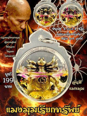 ครูบาแบ่ง วัดบ้านโตนด จังหวัดนครราชสีมา แมงมุมเรียกทรัพย์