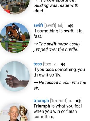 Steell Swift Toss Triump