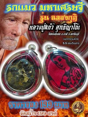 รกแมว มหาเศรษฐี รุ่น ฉลองกุฏิ หลวงปู่แก้ว สุทธิญาโณ วัดแก่งดินสอ