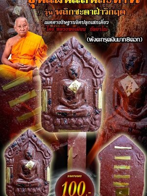ขุนแผนแสนสะท้าน รุ่น พลิกชะตาฝ่าวิกฤต หลวงพ่อเมียน วัดจะเนียงวนาราม