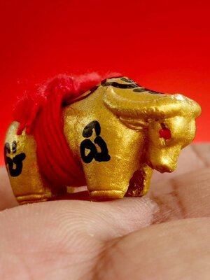 พระครูบากิตติชัย เขมจารี วัดปางมะกง จังหวัดเชียงใหม่ ควายธนูอัคนี