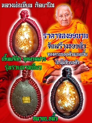 เบี้ยแก้ รุ่น รวยทางเดียว หลวงพ่อเมียน วัดบ้านจะเนียงวนาราม