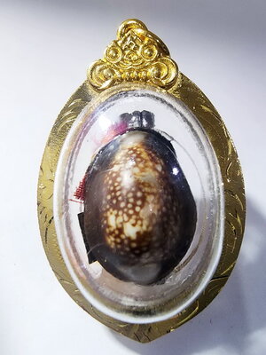 หลวงปู่มหาศิลา พระอาจารย์สุริยันต์ เบี้ยแก้ ดูดทรัพย์ รวยพันล้าน ฝังตะกรุด (KA253)