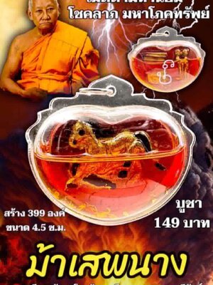 ม้าเสพนาง หลวงพ่อเมียน กัลยาโณ วัดบ้านจะเนียงวนาราม บุรีรัมย์