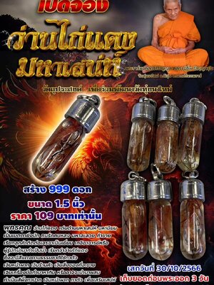 ว่านไก่แดง มหาเสน่ห์ หลวงปู่อิ่ม ปัญญาวุโธ วัดทุ่งนาใหม่ นครศรีธรรมราช