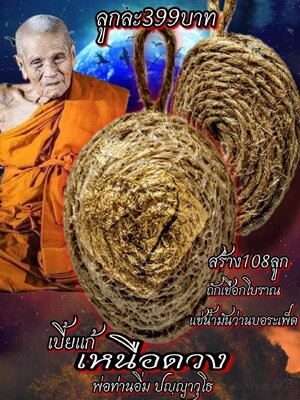 เบี้ยแก้ เหนือดวง หลวงปู่อิ่ม ปัญญาวุโธ วัดทุ่งนาใหม่ นครศรีธรรมราช