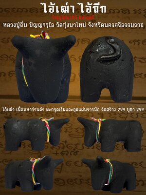ไอ้เฒ่า ไอ้ถึก หลวงปู่อิ่ม ปัญญาวุโธ วัดทุ่งนาใหม่ นครศรีธรรมราช