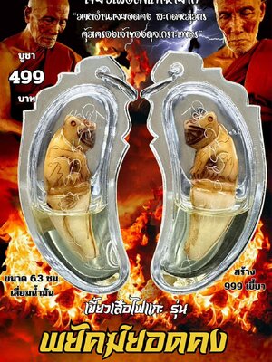 หลวงปู่แก้ว วัดแก่งดินสอ เขี้ยวเสือไฟแกะ รุ่น พยัคฆ์ยอดคง