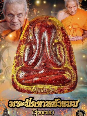 พระปิดตาหลังแบบ รุ่นแรก หลวงปู่อิ่ม ปัญญาวุโธ วัดทุ่งนาใหม่ นครศรีธรรมราช