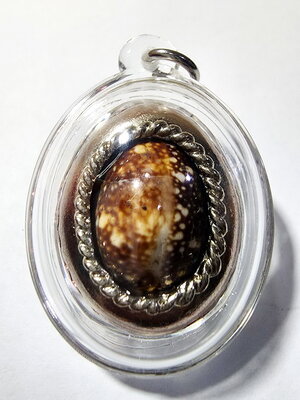 หลวงปู่บุญมา สำนักสงฆ์เขาแก้วทอง เบี้ยแก้เสือ เงินไหลมา เลข4 (AC431)