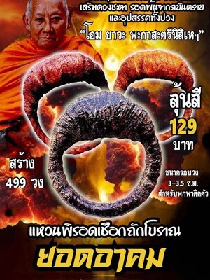 หลวงพ่อเมียน วัดบ้านจะเนียงวนาราม แหวนพิรอดเชือกถักโบราณ ยอดอาคม