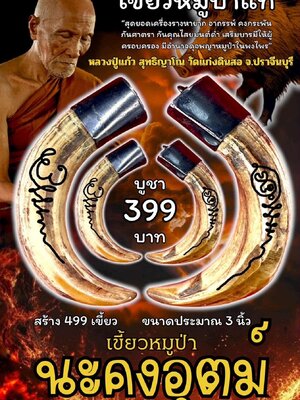 หลวงปู่แก้ว สุทธิญาโณ วัดแก่งดินสอ เขี้ยวหมูป่า รุ่น นะคงอุตม์