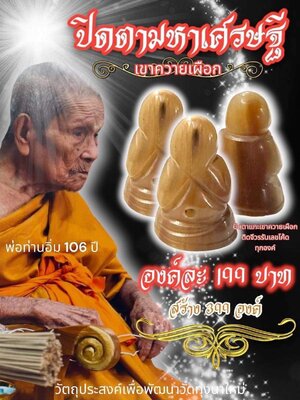 ปิดตามหาเศรษฐี เขาควายเผือก หลวงปู่อิ่ม วัดทุ่งนาใหม่ นครศรีธรรมราช