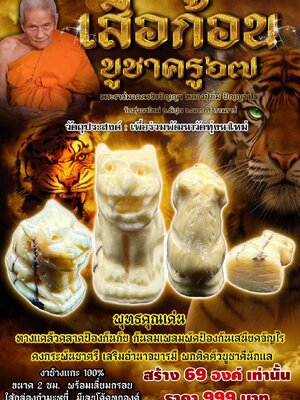 เสือก้อน บูชาครู หลวงปู่อิ่ม วัดทุ่งนาใหม่ นครศรีธรรมราช