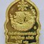 หลวงปู่ฮก วัดราษฎร์เรืองสุข เหรียญเสือน้อย รุ่น ประสบการณ์ ลงยา KA1819