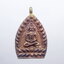 ครูบากฤษณะ อาศรมสถานสวนพุทธศาสตร์ เหรียญเจ้าสัว มหาเศรษฐี (KP1121)