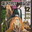 หนังสือการ์ตูน ตุลาการทมิฬ เล่ม 12 ผู้เขียน ยองอินวัน และ ยังกวางอิล