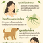 Neem Tree 3 - Pure Neem Oil | น้ำมันสะเดาบริสุทธิ์ ขนาด 30 ซีซี.