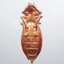 หลวงปู่แสน วัดบ้านหนองจิก พญาต่อเงินต่อทอง กล่องเดิม (KP1352)