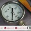 NUOVAFIMA Pressure Gauge 0-250 mbar l เกจวัดแรงดันแก๊สช่วงแรงดันต่ำ