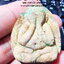 หลวงปู่โต๊ะ พระปิดตา ทวิมหาบูรพาจารย์ มีตะกรุดเงิน 5 ดอก (AB5769)