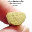 หลวงปู่แสง วัดโพธิ์ชัย จ.นครพนม เหรียญที่ระลึกทอดกฐินสามัคคี (AB5039)