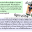 สไปรูลิน่าบริสุทธิ์300แคปซูล มีเอกสารและตารางการรับประทานที่ถูกต้องให้