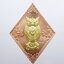 พระปลัดอนวัช อภิลาโส วัดบ้านดงน้อย นกถึดทือ เรียกทรัพย์ ยกหน้ากาก (KP1661)
