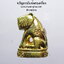 หลวงพ่อรวย อคฺคสาโร วัดมาบตาพุด เสือรวยมหาอำนาจ รุ่น 1 กล่องเดิม (KP3973)