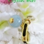 แหวนหางช้าง+Aquamarine