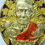 หลวงพ่อพัฒน์ วัดห้วยด้วน ทรัพย์พยัคฆ์ พยัคฆ์เงินทอง กล่องเดิม ลายเสือ (AB6322)
